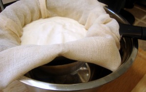 Greek-Style Cultured Soy Yogurt